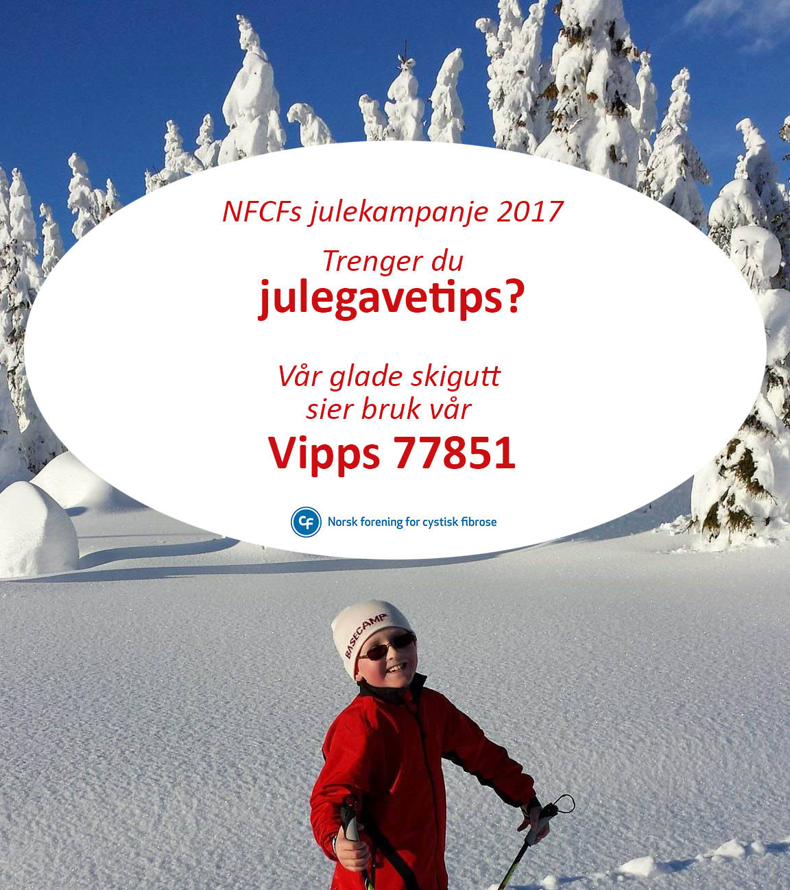 NFCFJulevippskamapnje2017 julegutt