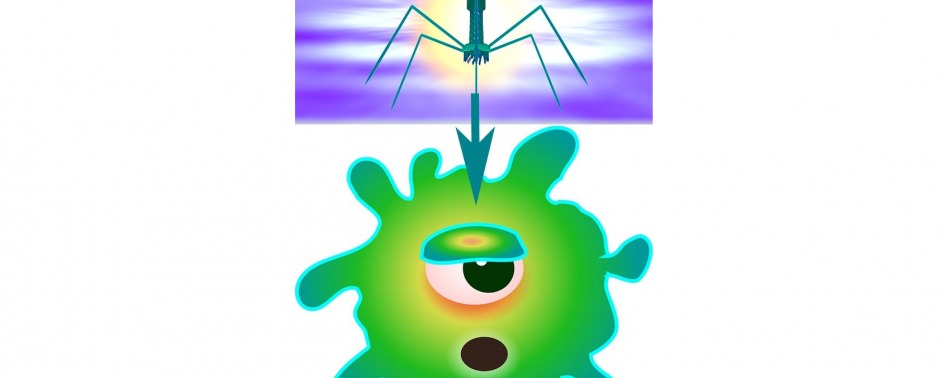 BakteriofagSlimklattbug
