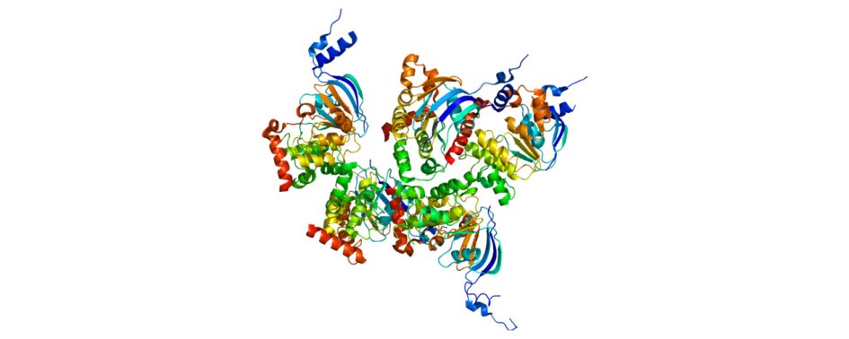 512px Protein CFTR PDB 1xmi commonswikiemedia